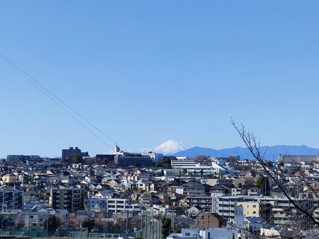 富士山のある風景