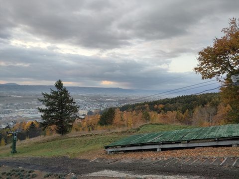 紅葉がある展望台からの景色