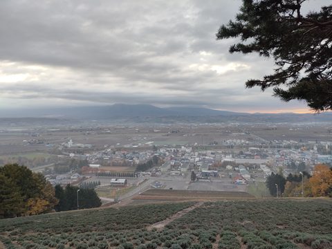 展望台からの景色